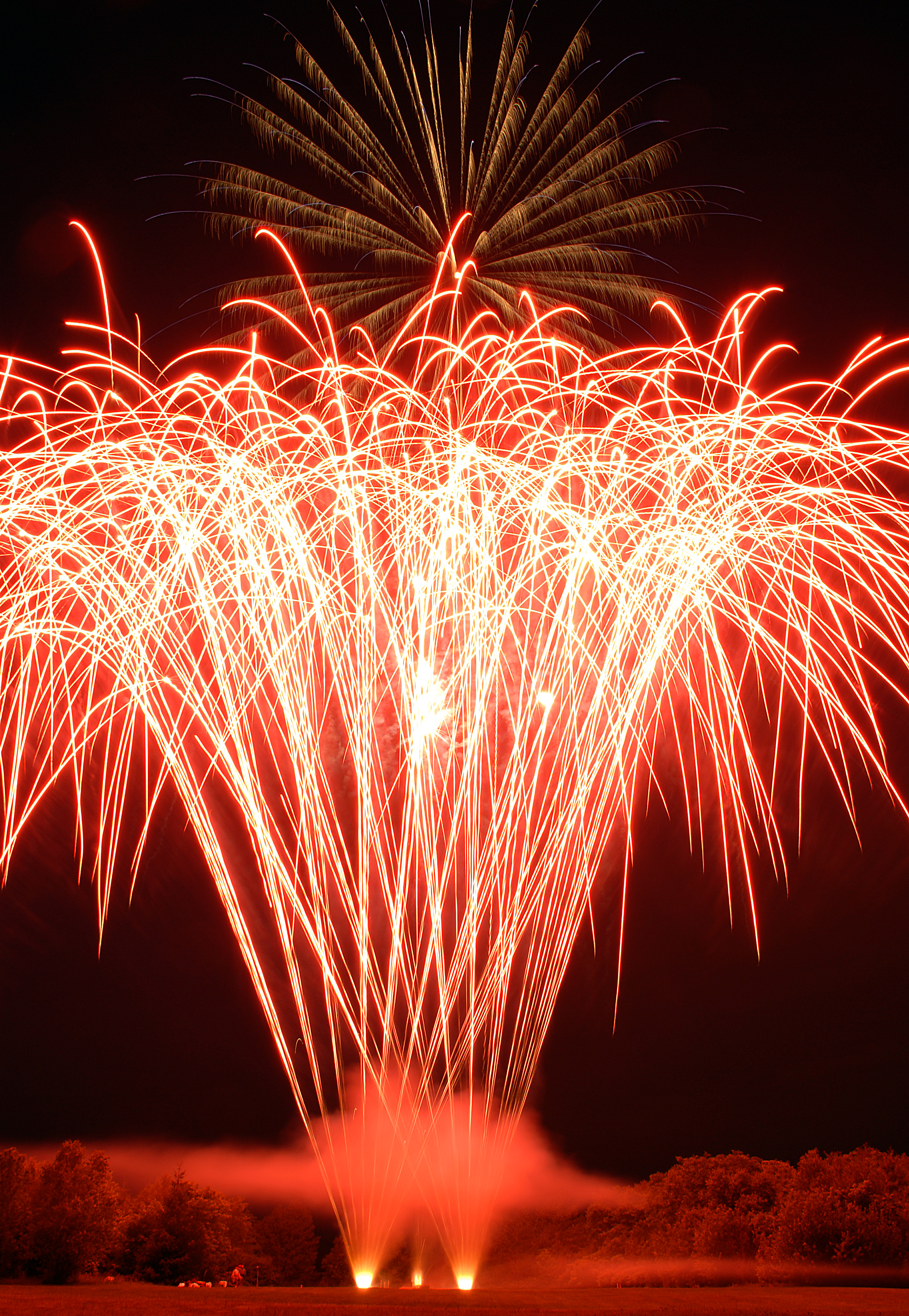 The fireworks were fantastic and your team was awesome please pass along my personal thanks to them ! As always, the fireworks were outstanding. I am glad we are able to host large scale events and we look once again forward to working with you again soon! Tanya Pirie  Director of Operations- St. Elizabeth Village 